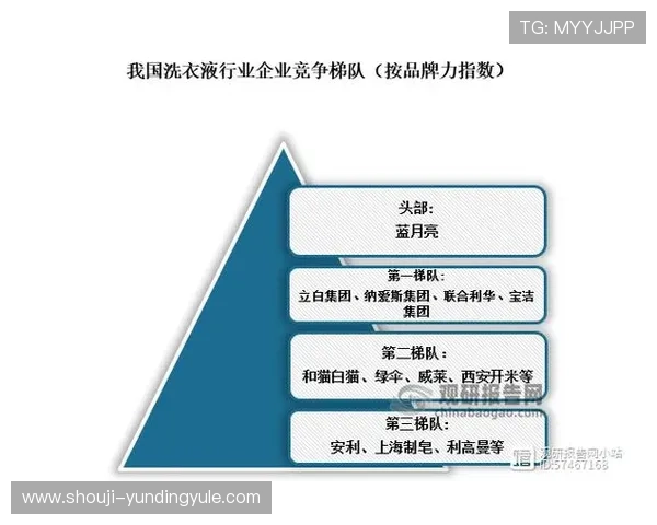 云顶集团在全球娱乐产业中的品牌影响力与市场扩展路径