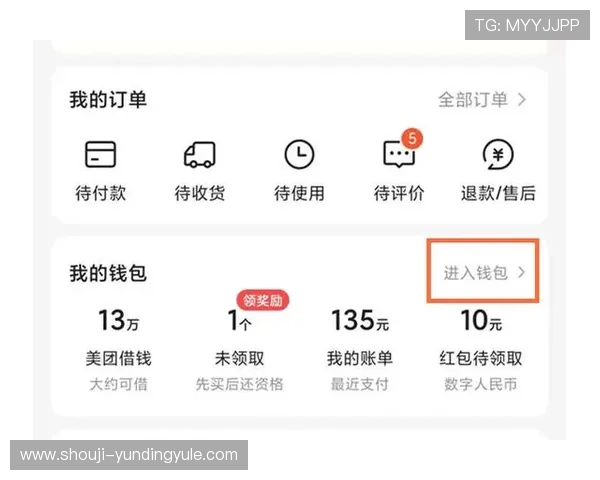 云顶国际集团app充值提现操作流程，确保资金安全高效到账