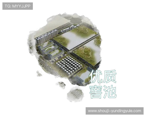 云顶4008集团在行业中的发展战略与未来规划分析