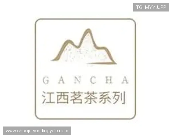 云顶集团最新官方网站技术支持与客户服务中心介绍