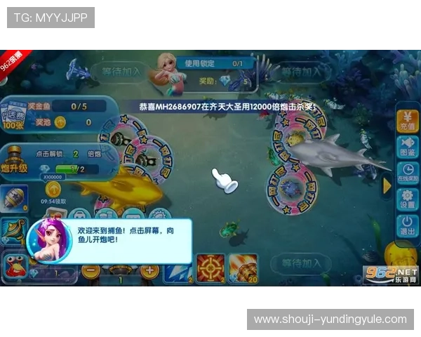 金鲨银鲨飞禽走兽游戏中如何快速提升等级和获取稀有道具的实用攻略指南